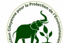 Avis de recrutement d’un webmaster ou concepteur pour la mise en ligne d’un site internet d’organisation